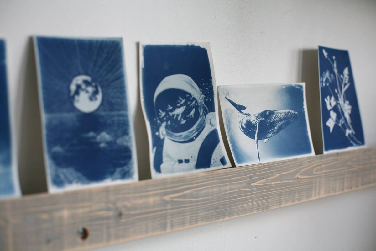 Finished cyanotype postcards on a shelf