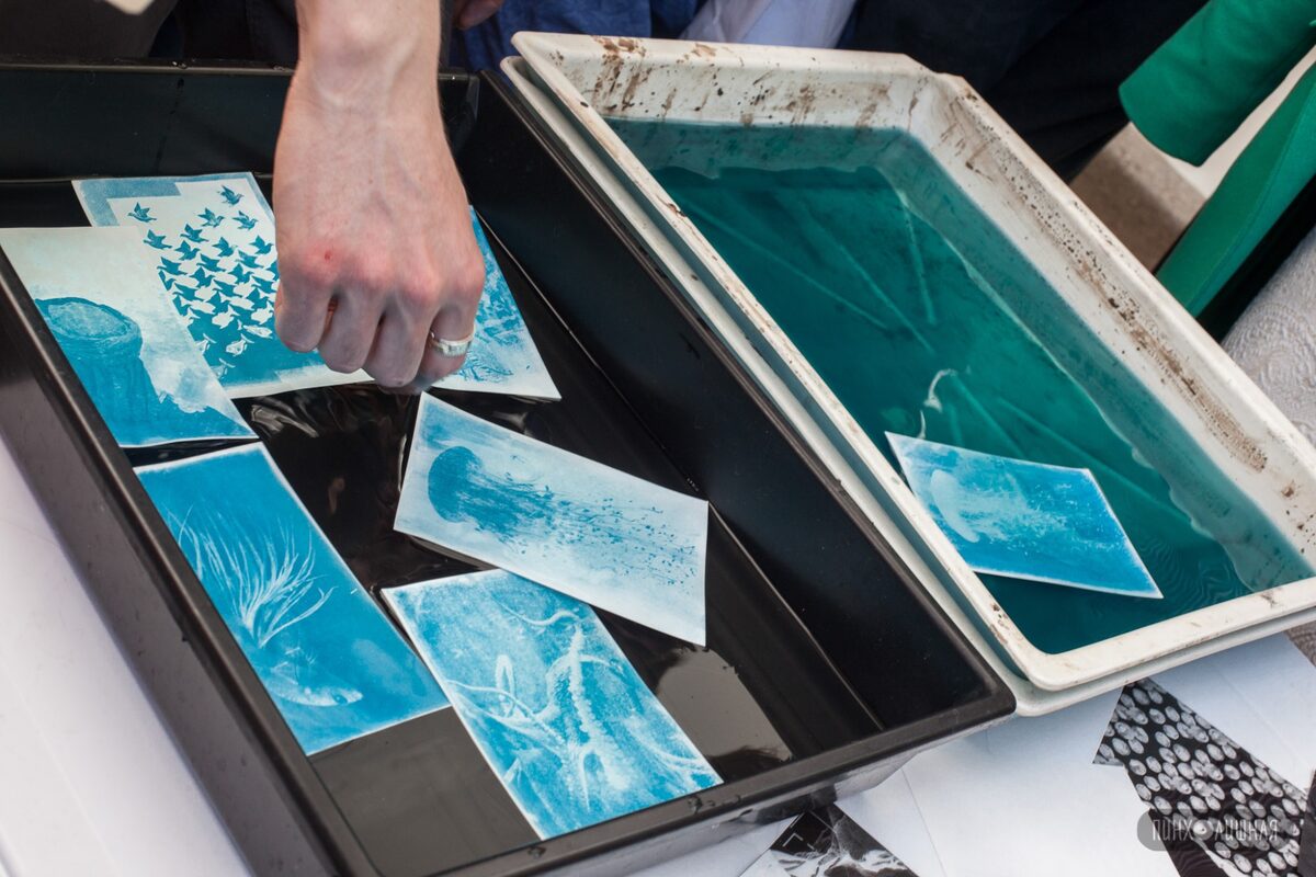 Cyanotype prints washing out in trays